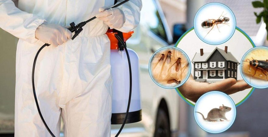 Manyas Böcek İlaçlama