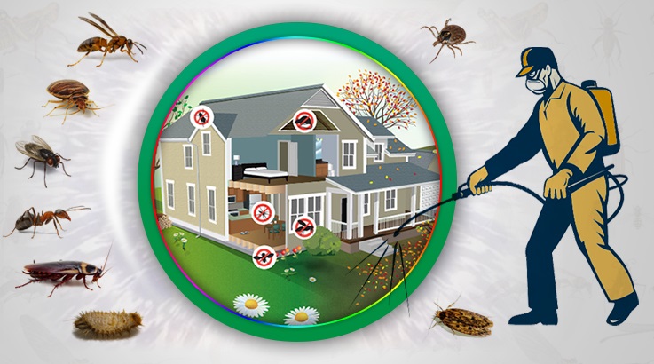 Manyas Böcek İlaçlama