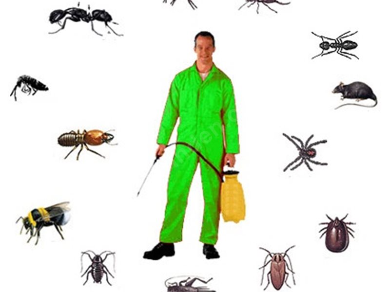 Manyas Böcek İlaçlama